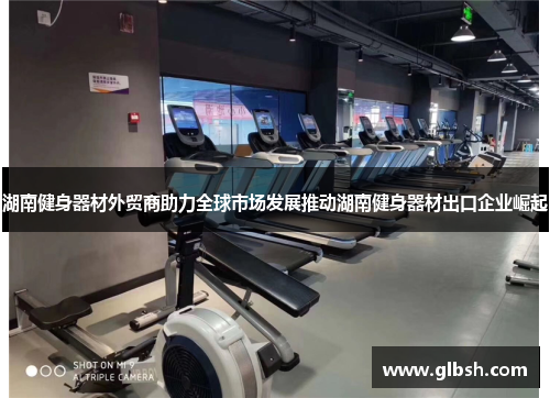 湖南健身器材外贸商助力全球市场发展推动湖南健身器材出口企业崛起