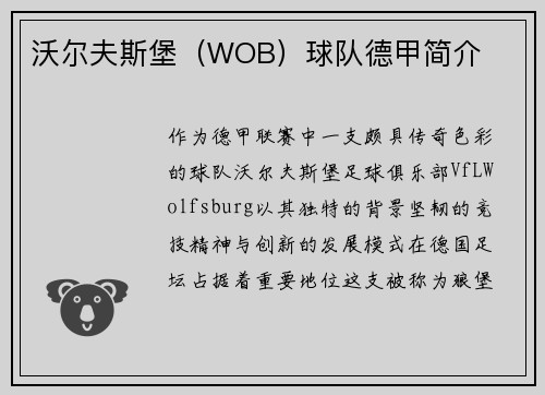 沃尔夫斯堡（WOB）球队德甲简介